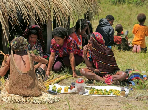 APINDO Dorong Penguatan UMKM di Papua melalui Ekosistem Usaha APINDO Dorong Penguatan UMKM di Papua melalui Ekosistem Usaha
