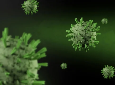 Fakta Virus Nipah Menurut Peneliti BRIN Fakta Virus Nipah Menurut Peneliti BRIN