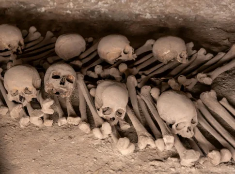 Perubahan Iklim Ternyata Berperan dalam Wabah Black Death Perubahan Iklim Ternyata Berperan dalam Wabah Black Death