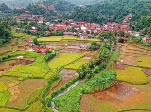 Pemerintah Pusat Perkuat Pengendalian Alih Fungsi Lahan Demi Ketahanan Pangan Nasional Pemerintah Pusat Perkuat Pengendalian Alih Fungsi Lahan Demi Ketahanan Pangan Nasional